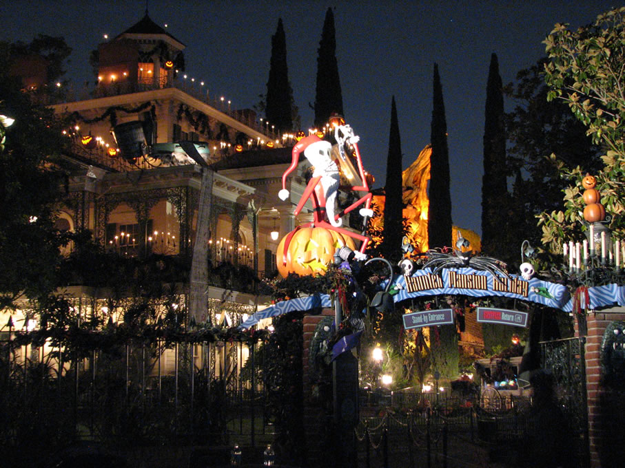 Disneyland 2010